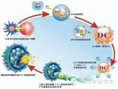 PD-1、Cart免疫疗法引领抗癌革命