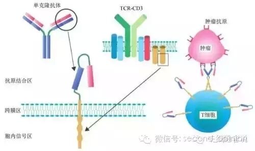 QQ图片20160118092813