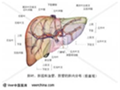 【临床招募】甲磺酸阿帕替尼片治疗晚期肝细胞癌