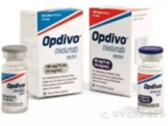 非小细胞肺癌患者使用Opdivo(nivolumab)说明书（2015年4月新版）