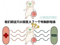 日本电场疗法和美国电场疗法的区别