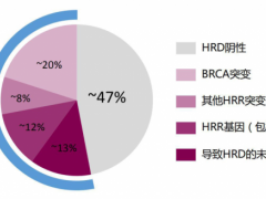 速递|乳腺癌辅助治疗药物,FDA批准奥拉帕利(奥拉帕尼、Lynparza)作为BRCA阳性和HER2阴性的高危早期乳腺癌辅助治疗方案