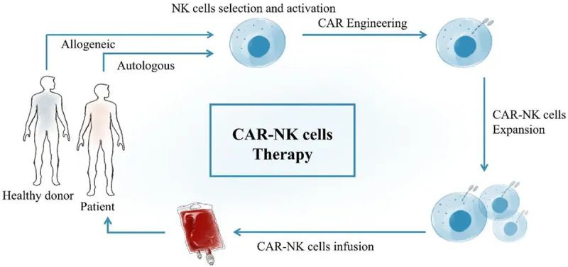 CAR-NK介导的细胞疗法