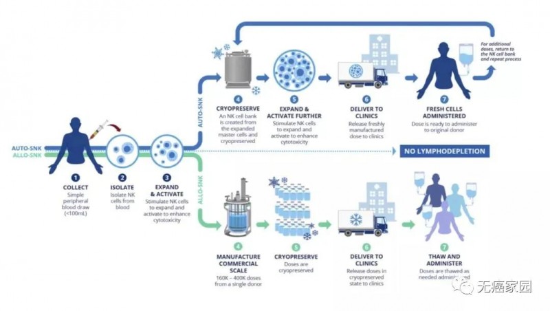 NK细胞免疫疗法治疗流程
