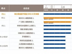 速递|第七款国产PD-1斯鲁利单抗注射液(Serplulimab、汉斯状)一线治疗小细胞肺癌已经提交上市申请