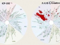 胆管癌新药,胆管癌靶向药新药ICP-192临床试验招募进行中