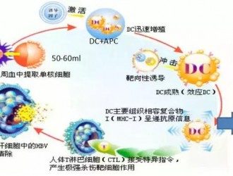 生存突破前所未有！知名肿瘤专家朱广卿教授谈肿瘤免疫治疗发展史