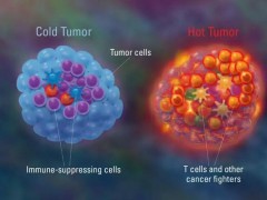 Nature重磅｜新抗癌疫苗取得重大突破