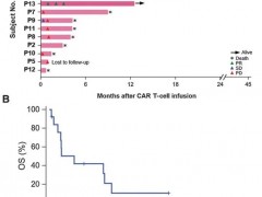 肝癌细胞免疫治疗,CAR-T细胞疗法治疗肝癌让晚期肝癌患者还有机会抓住一线生机