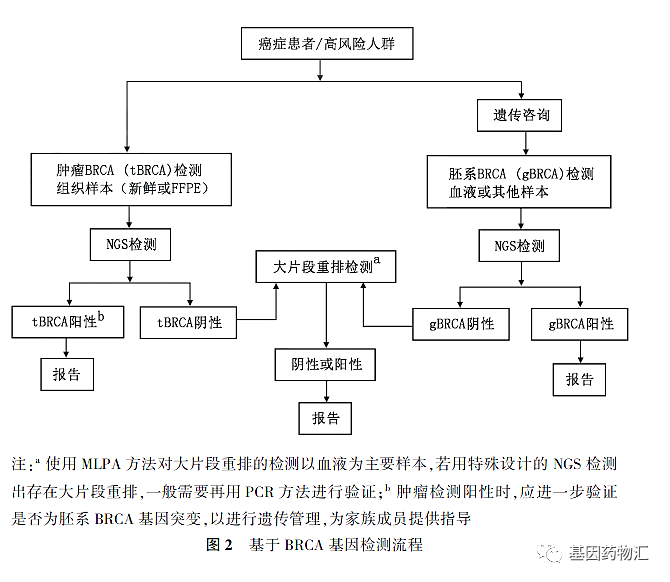 癌症患者高风险人群