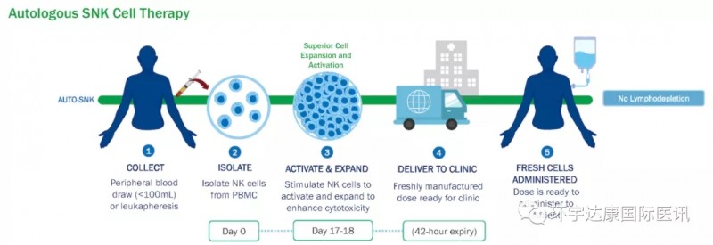NK细胞免疫疗法治疗流程