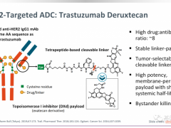 胃癌HER2阳性靶向药,"生物导弹"重装来袭,抗体偶联ADC药物新药开启胃癌治疗的新时代