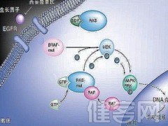 免疫疗法是个多面手，能治癌症还能防复发？