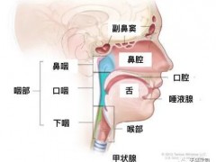 头颈部肿瘤有哪些,头颈癌放疗,头颈部肿瘤放射治疗