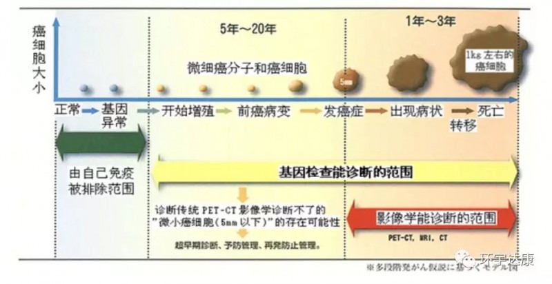 癌细胞的生长过程