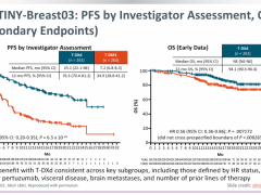 FDA授予Enhertu(DS8201、trastuzumab deruxtecan、T-DXd)治疗HER2低表达的乳腺癌突破性疗法指定