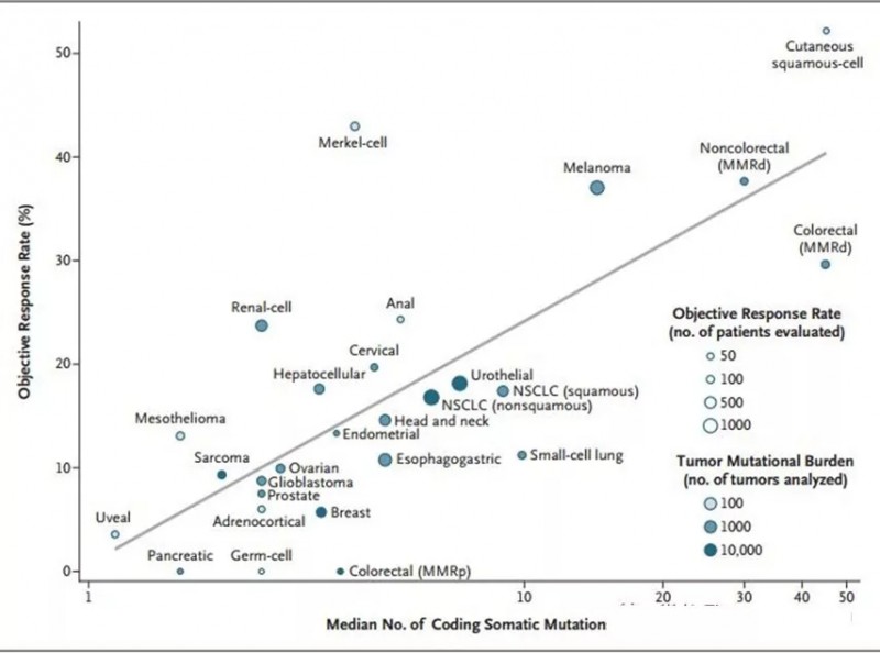 TMB越大,PD-1药无进展生存率就越高