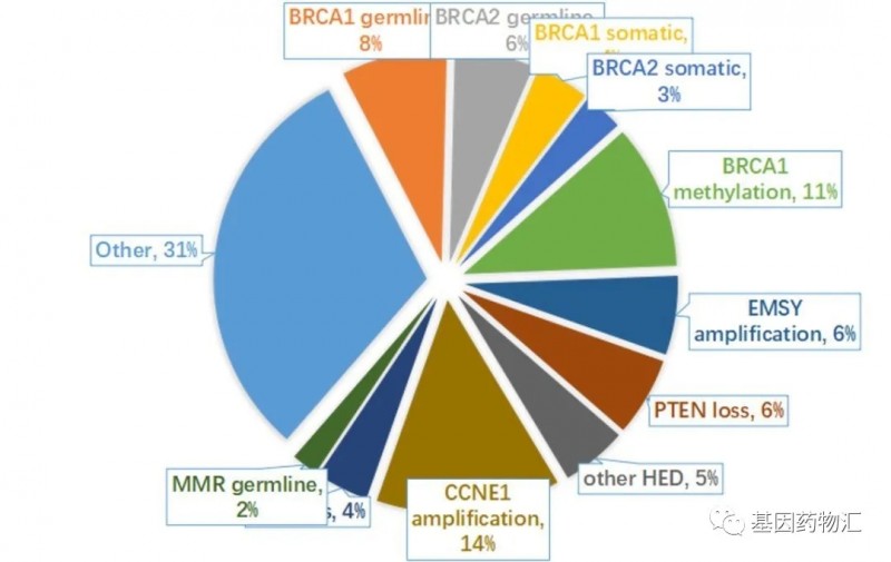 浆液性卵巢癌的分子分型