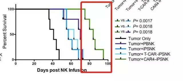 CAR-NK细胞疗法存活率数据