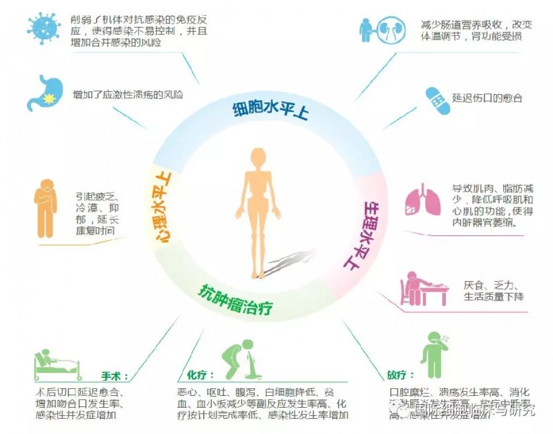 营养不良对癌症患者的危害