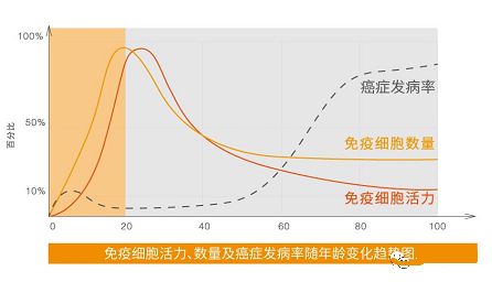 拉罗替尼治疗胰腺癌的效果