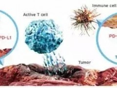 两款三阴乳腺癌新药阿替利珠单抗和Trodelvy(Sacituzumab govitecan-hziy)凸显抗癌实力