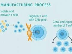 淋巴瘤CART治疗,淋巴瘤CAR-T疗法让患者的肿瘤完全缓解