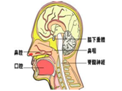 鼻咽癌肺转移的射波刀治疗案例