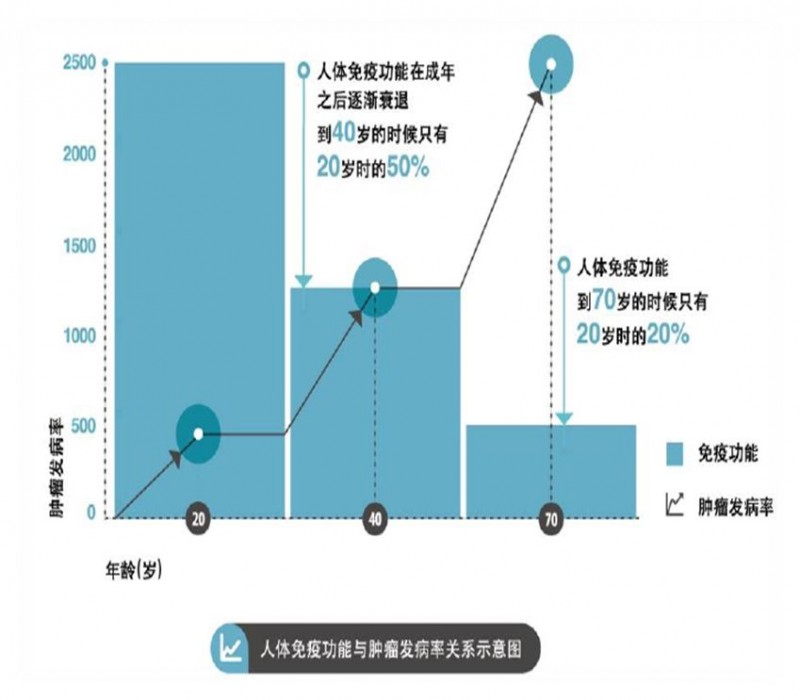 免疫力和年龄的关系