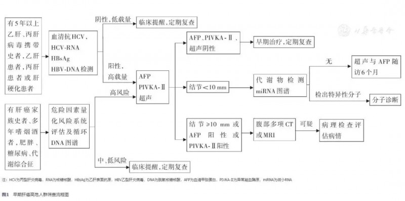 肝癌筛查项目