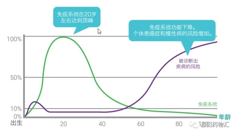 乳腺癌和免疫力的关系