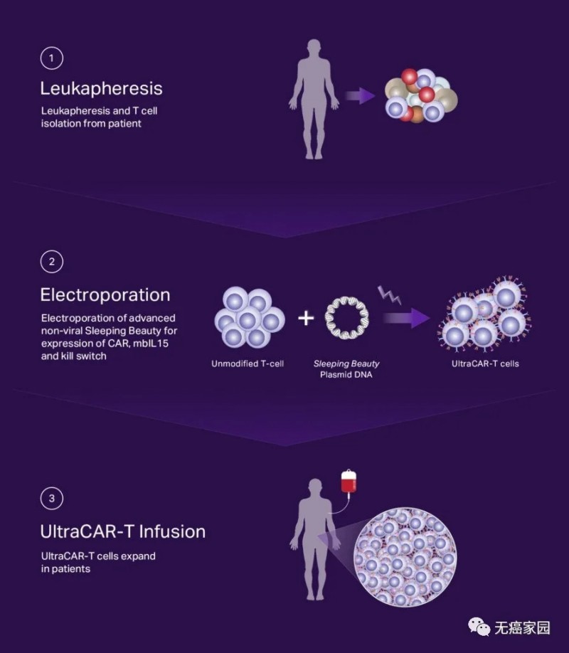 UltraCAR-T优势：强效+安全+可扩展