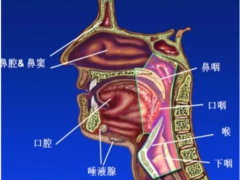 头颈部肿瘤质子放疗对比传统头颈部肿瘤放疗的优势和效果如何