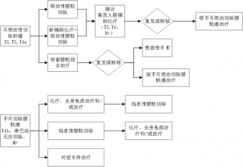 膀胱癌治疗