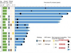 晚期肺癌免疫治疗(PD-1)耐药怎么办,TIL细胞疗法联合PD-1扔能完全缓解