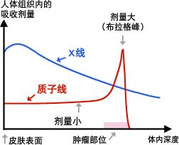 质子治疗和传统放疗反射剂量对比