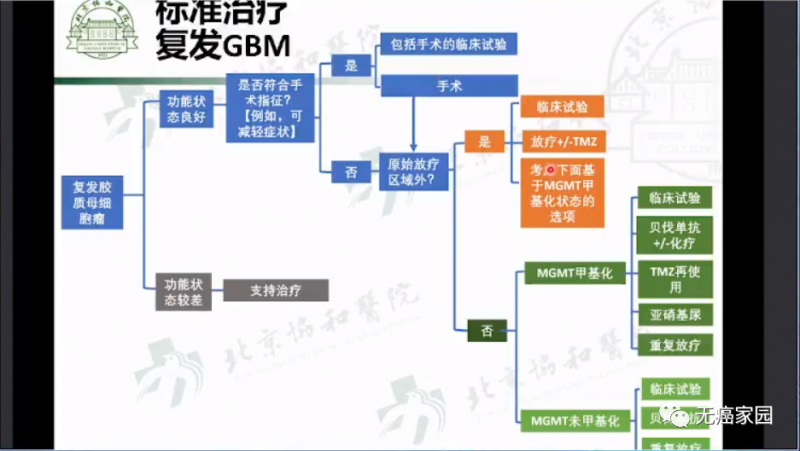 复发胶质母细胞瘤标准治疗