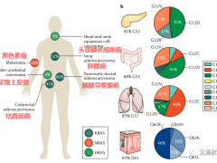 直肠癌新疗法,第二款KRAS基因突变靶向药Adagrasib(MRTX-849、阿达格拉西布)治疗直肠癌疾病控制率达100%