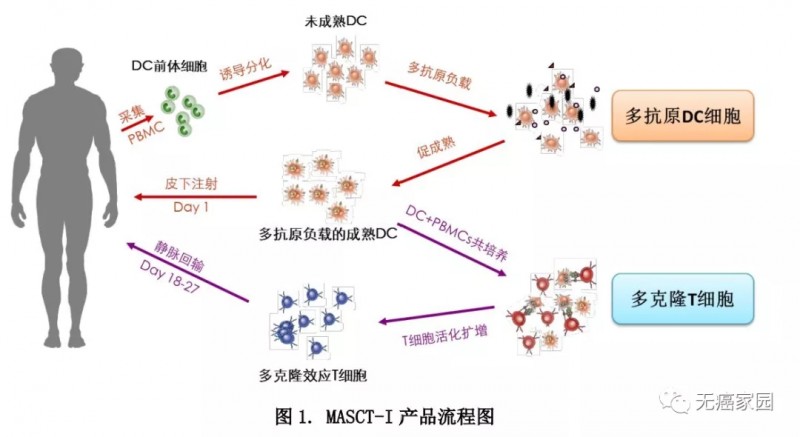 MASCT-I治疗过程