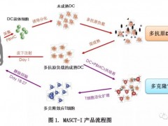 维迪西妥单抗(爱地希、RC48)刚入医保目录又获批作为尿路上皮癌新药,尿路上皮癌临床试验招募正在进行中