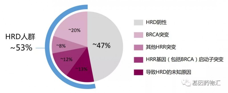 HRD人群突变概率