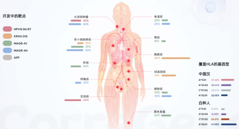 早期TCR-T产品覆盖的肿瘤适应证