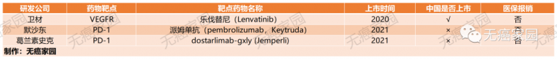 国内外获批上市的子宫内膜癌靶向药