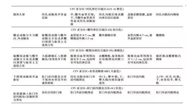 CTV其他亚分期放疗规划