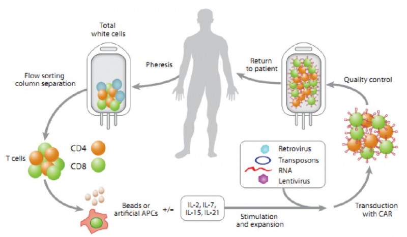 CAR-T的生产制备过程简单示意图