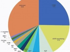 肺癌靶向基因检测可以指导70%的非小细胞肺癌靶向治疗