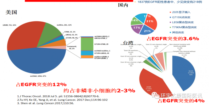 EGFR基因突变的概率