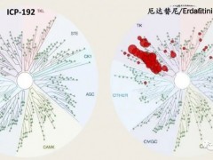 胆管癌靶向药物,打破胆管癌治疗困境,多款胆管癌临床试验靶向药物重磅来袭