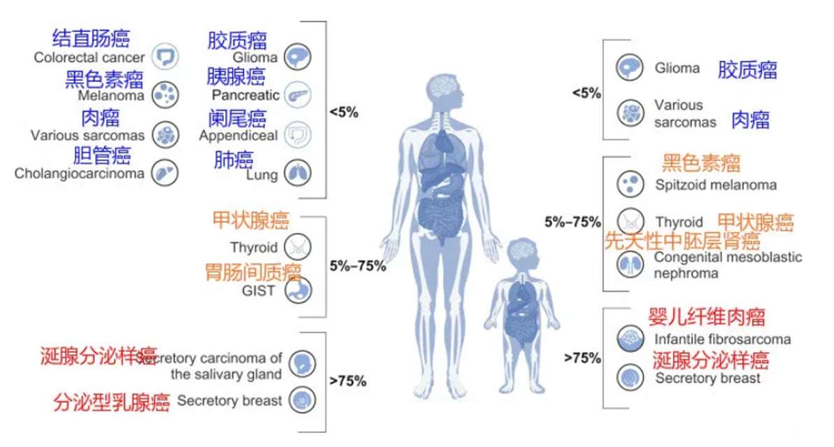 ICP-723是我国自主研发的新一代NTRK抑制剂