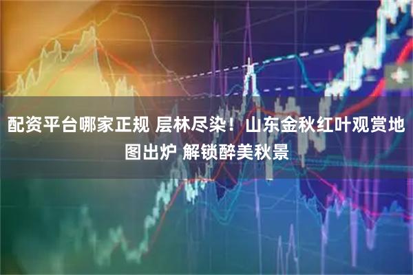 配资平台哪家正规 层林尽染！山东金秋红叶观赏地图出炉 解锁醉美秋景